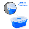 GLIDER S20 Blue Bento Premium Lunch Box & Food Storage Container - Large